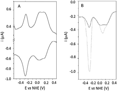 (A) DPV of 195 μM PHR in 50 mM HEPES pH 7.0 on a glassy carbon electrode. Step potential was 4.05 mV, modulation amplitude 4.05 mV, modulation time 0.05 s, interval time 0.25 s. (B) DPV (reducing scan only) of 195 μM M PHR before (continuous line) and after (dotted line) treatment with 2M guanidinium chloride.