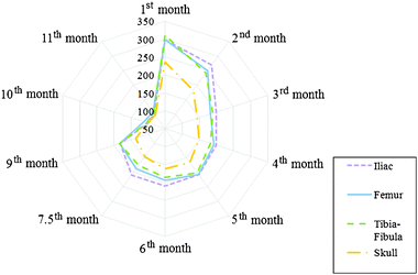 Distribution of mean lead concentrations (μg g−1) in iliac bone, femur, tibia–fibula and skull as a function of age (months).