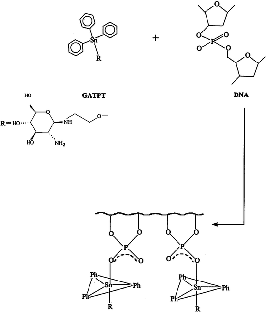 Enhanced in vitro therapeutic efficacy of triphenyltin (IV) loaded