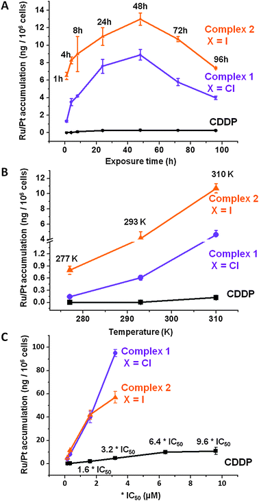 (A) Time, (B) temperature, and (C) concentration dependence of Ru/Pt accumulation in A2780 cells for complexes 1 (), 2 () and CDDP (–■–) at 310 K. In all cases pre-incubation time before adding the drug was 24 h with no cell recovery time in drug-free medium, at 310 K, in a 5% CO2 humidified atmosphere.
