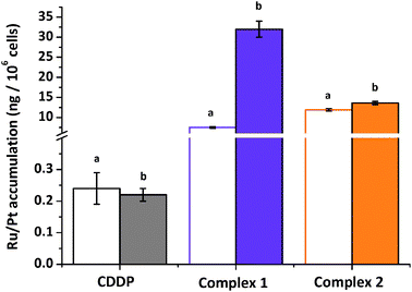 Accumulation of Ru/Pt in A2780 cells after co-incubation with CDDP (), complexes 1 (), 2 () and antimycin at 310 K. Results are expressed as ng of metal per 106 cells. Equipotent concentrations used were CDDP = 0.4 μM, 1 = 5 μM and 2 = 1 μM. For all complexes the antimycin concentrations were (a) 0 μM, (b) 5 μM.