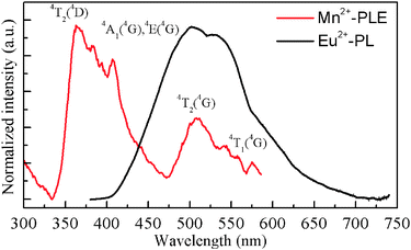 Spectral overlap between the normalized PL spectrum of SGP:Eu2+ and the PLE spectrum of SGP:Mn2+.