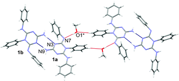 A supramolecular assembly in the structure of 1·0.5 MeOH showing molecules interconnected by hydrogen bonds (blue and red lines). Symmetry code * = 1 − x, −y, −z.