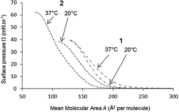 
            Π–A compression isotherms of calixarenes 1 and 2 spread on carbonate buffer 50 mM pH 10.0, at 20 and 37 °C.