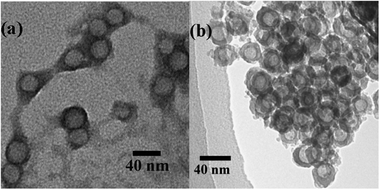 
            TEM pictures of (a) Ba2+/PS-b-PAA-b-PEG chelated particles and (b) hollow BaSO4 nanospheres.