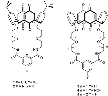 Target tert-butylcalix[4]diquinone receptors 1–2 and calix[4]diquinone receptors 3–5.