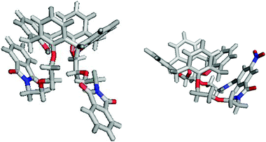 X-Ray crystal structures of 12 (left) and macrocycle 17 (right).