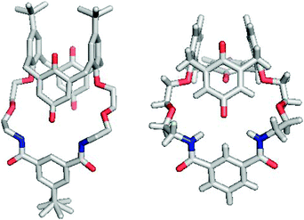 X-Ray crystal structures of receptors 1 (left) and 3 (right).