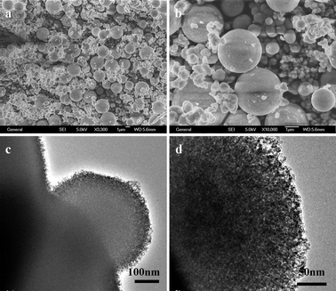 
            SEM and TEM images of ZnS obtained at 180 °C for 24 h: (a and b) SEM images, (c and d) TEM images.