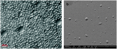 (a) Light microscope image of GO microspheres prepared at alkaline pH. The microspheres size was poly-dispersed, with an average diameter of 7 ± 3 μm (magnification ×40). (b) SEM images of GO microspheres on a Si/SiO2 substrate, coated with a thin layer of gold.
