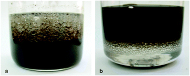 GO microspheres prepared with different organic solvents: toluene (a) and dichloromethane (b), pH 12.