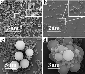 
            SEM images of CNSs prepared at 160 °C, (a,b) with 0.5 M glucose but without POMs, (c) with 1 M glucose, 0.2 g H3PW12O40·xH2O, and (d) with 0.5 M glucose, 0.3 g H3PW12O40·xH2O.