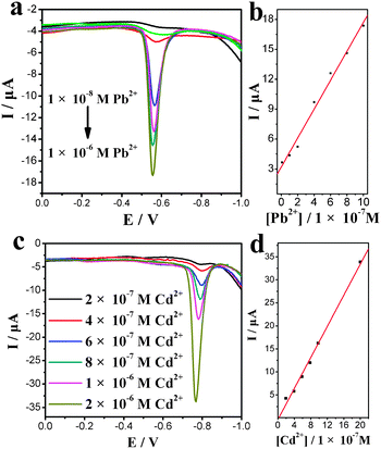 
            SWASV analysis of Pb2+ and Cd2+ with various concentrations. (a) SWASV of Pb2+ accumulated on the Cys–CNSs electrode, (b) calibration plot of anodic current versus different concentrations, 1 × 10−8–1 × 10−6 M Pb2+, (c) SWASV of Cd2+ accumulated on the Cys-CNSs electrode, (d) calibration plot of anodic current versus different concentrations, 2 × 10−7–2 × 10−6 M Cd2+.