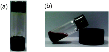 Photographs of 1 (2.0 wt%) in the presence of Pd2+ (1.0 equiv.) obtained by (a) ultrasonication and (b) heating in acetonitrile.