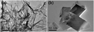 
          TEM images of 1 (2.0 wt%) in the presence of Pd2+ (1.0 equiv.) obtained by (a) ultrasonication and (b) heating.