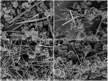 SEM images of Cu@C nanowires synthesized at 150 °C for 15 h with different amounts of CTAB: (a) 0.5 g, (b) 1.0 g, (c) 1.5 g and (d) 2.0 g.
