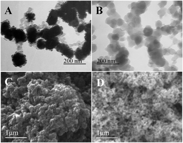 TEM (A, B) and SEM (C, D) images of the synthesized AgNPs@PDA (A, C) and pure PDA (B, D) structures.