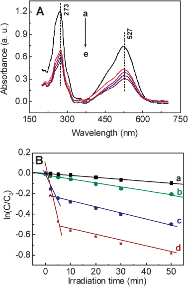 (A) UV-vis spectra from the 3 mL, 50 μM NR solution with 1.83 mg AgNPs@PDA at different time intervals (a–e: 0 min, 10 min, 20 min, 30 min and 50 min). (B) The logarithm of the ratio between the initial dye concentration and the one after photocatalytic degradation by pure PDA (b), AgNPs (c), AgNPs@PDA (d), and without any catalyst (a) (ln(C/C0)) vs. the corresponding irradiation time (min).