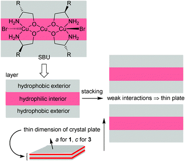 Hydrophobic-exterior layer structures and magnetic properties of