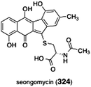 Structure of seongomycin (324).