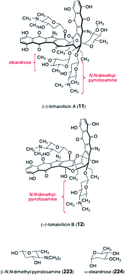 Structures of lomaiviticins A and B (11, 12, respectively), N,N-dimethyl pyrrolosamine (223), and oleandrose (224).