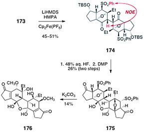 Dimerization of 173 and elaboration to 176 by Shair and co-workers.