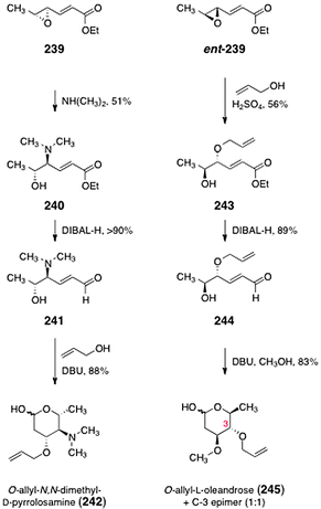 Synthesis of O-allyl-N,N-dimethyl-d-pyrrolosamine (242) and O-allyl-l-oleandrose (245) by Herzon and co-workers.