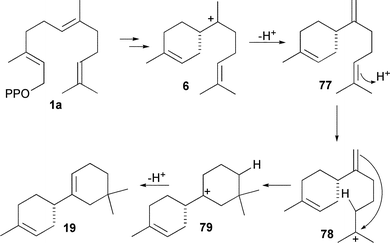 The mechanism of formation of (S)-β-bisabolene (77) and (S)-β-macrocarpene (19) catalysed by TPS6 and TPS11 from maize.