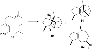 Patchouli alcohol (80) and two of the minor hydrocarbon products, β-patchoulene (81) and α-guaiane (82) produced by patchouli alcohol synthase from Pogostemon cablin.