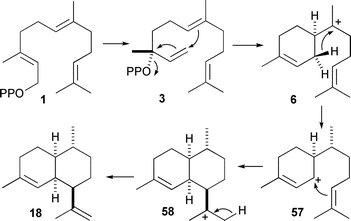 Mechanisms for the biosynthesis of amorpha-4,11-diene (18).