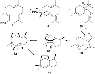 
            Biosynthesis of epi-isozizaene (17).