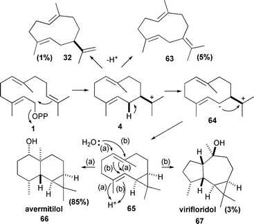 The biosynthesis of avermitilol (66). Virifloridol (67), germacrene A (32) and germacrene B (63) are minor byproducts.