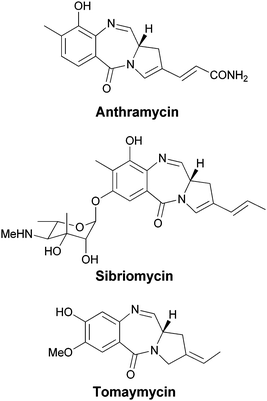 Assembly of the pyrrolo-[1,4]-benzodiazepine scaffolds of anthramycin, sibiromycin, tomaymycin antitumor antibiotics from different hydroxylated isomers of anthranilate.