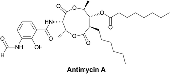 The mitochondrial respiratory poison antimycin A has an N-formyl-aminosalicylamide attached to a threonyl-bis-nonalactone. Assembly is presumed to go through the N-formyl-aminosalicyl-Thr dipeptidyl precursor as a tethered thioester.