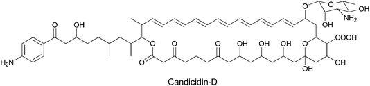The structure of the aromatic polyene antibiotic candicidin-D. PABA is incorporated as the starter unit for a multimodular PKS that performs 22 rounds of chain extension to install C2 or C3 units at varying oxidation states, before macrolactonization and other decorations yield the final product.