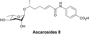 Ascaroside 8 is one of a related mixture of developmental signalling molecules containing a β-glycoside sugar, which is in this case linked to PABA.