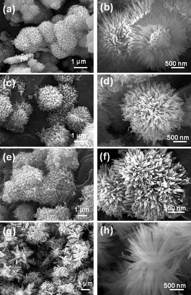 
            SEM images of samples with various FeCl3 concentrations: (a, b) 0.04 mM, (c, d) 0.12 mM, (e, f) 0.4 mM and (g, h) 1 mM.