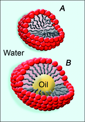 Schematic representation of micelles (A) and oil-in-water microemulsions (B). These nanostructured systems are the most performing cleaning tools available to remove polymer coatings from artifacts.