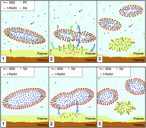 Schematic representation of the interaction mechanism between the detergent nanostructured systems (top: EAPC; bottom: XYL) and the polymer coating. The top image is adapted from ref. 43.