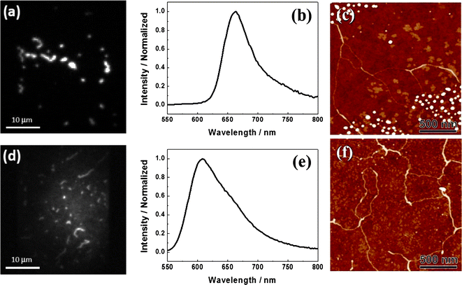 
          Fluorescence images (a and d) and spectra (b and e), and AFM images (c and f) of individual PBI 1 aggregates adsorbed on untreated (a, b and c), and treated (d, e and f) glass substrates.