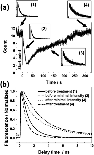 (a) Fluorescence intensity trace of an individual J-aggregate chain on untreated glass during the water vapor treatment (0–330 s). Insets ((1)–(4)) show the fluorescence decays at different time points indicated by the arrows (the intensity scale is linear). (b) Fitting curves to the normalized decays.