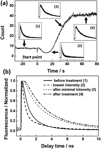 (a) Fluorescence intensity trace of an individual J-aggregate chain on treated glass. Insets ((1)–(4)) show the fluorescence decays at different time points indicated by the arrows (the intensity scale is linear). (b) Fitting curves to the normalized decays.