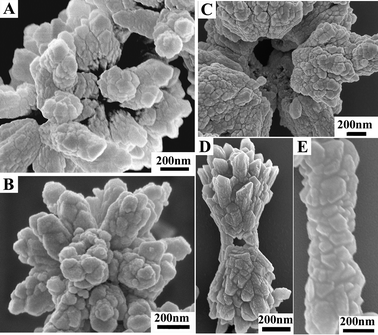 
          SEM images of CaCO3 crystals crystallized from citrate stabilized amorphous precursors in the presence of various CTAB concentrations: (A) 1 mM; (B) 5 mM; (C) 10 mM; (D) 100 mM; and (E) 277 mM. Reproduced with permission from ref. 27. Copyright 2011, the Royal Society of Chemistry.