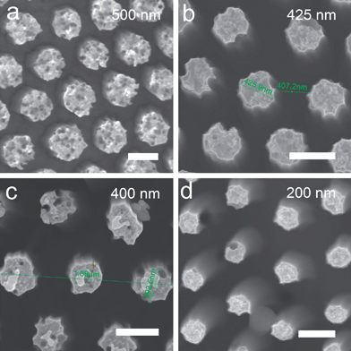 Top view SEM images of Si nanopillar arrays with different filling ratio. (a) 65.8%. (b) 55.9%. (c) 52.6%. (d) 26.3%. Scale bar: 500 nm.