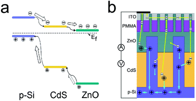 (a) Energy diagram of p-Si/n-CdS/n-ZnO heterojunction. The energy band structure of the nanorainforest solar cell shows a huge potential barrier between the adjacent layers for holes to tunnel through. For instance, the difference between the adjacent top of the valence band for Si/CdS and CdS/ZnO is ∼2 eV and ∼1 eV. (b) Scheme of charge transfer and collection in a nanorainforest solar cell.