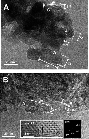 (A) TEM image representative of shape and size of CDHA particles. A, B, and C indicate three typical projection shapes. The units of the values reported near the arrows are nm. Original magnification: 150K× (B) TEM image representative of shape and size of HA particles. A and B indicate two typical projection shapes. The units of the values reported near the arrows are nm. Original magnifications: (i) image in the main frame = 150K×; zoomed image = 600K×.