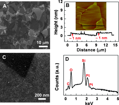 (A) SEM image of GO film on the Si/SiO2 substrate prepared by the LB method. (B) Topographic atomic force microscopy (AFM) image (19 × 19 μm2) and section analysis of GO film on Si/SiO2. (C) SEM image of photochemically synthesized PtNPs on a high-temperature-annealing reduced GO (rGO) film. (D) EDX spectrum of the PtNPs/rGO composite on Si/SiO2.