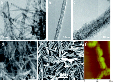 Morphologies of pristine TNTs and A/TNTs. Hr-TEM images of the pristine TNTs (a) and A/TNTs (b and c); Hr-SEM images of the pristine TNTs (d) and A/TNTs (e); (f) AFM image of A/TNTs.