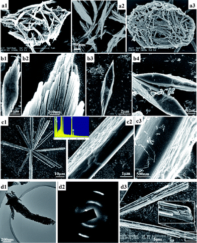 Intermediates in the hierarchical self-assembly: (a) Hr-SEM images of A/TNT bundles self-assembled from small fibers; (b) Hr-SEM images of A/TNT bundles with rhomboid crystal facets; (c) Hr-SEM images of the rod-like crystal intermediates, inset of Fig. 5c1 shows the EDX measurement of the rods; (d) Hr-TEM image (d1) and the corresponding SAED patter (d2) of the A/TNT bundles. The image (d3) shows the large rod-like crystals with biforked ends.