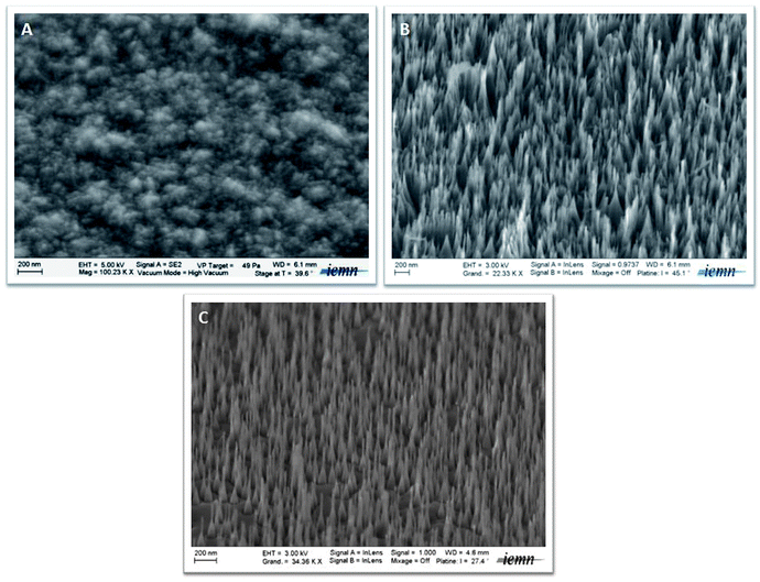 
            SEM images of the starting nanocrystalline boron-doped diamond substrate (A), and nanowires obtained from boron-doped (B) and undoped (C) nanocrystalline diamond interfaces.